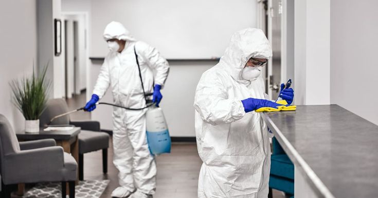 شركة مكافحة الحشرات