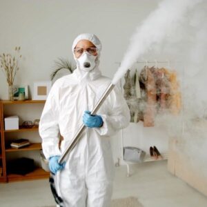 شركة مكافحة حشرات بالإمارات