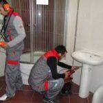 شركة مكافحة حشرات في دبي