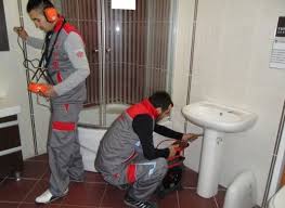 شركة مكافحة حشرات في دبي